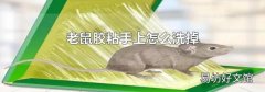 老鼠膠粘手上怎么洗掉