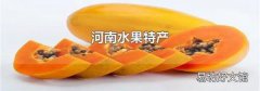 河南水果特產