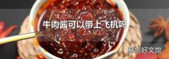 牛肉醬可以帶上飛機嗎