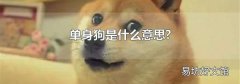 單身狗是什么意思?