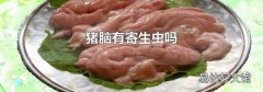豬腦有寄生蟲嗎