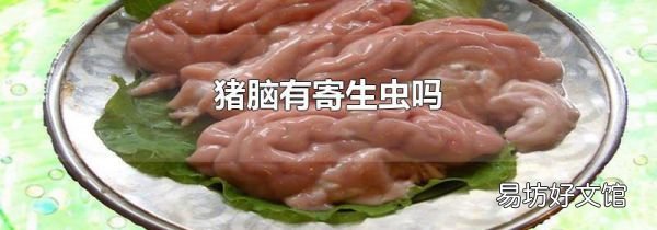 豬腦有寄生蟲嗎