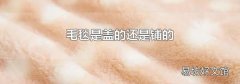 毛毯是盖的还是铺的
