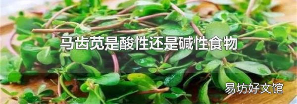 馬齒莧是酸性還是堿性食物