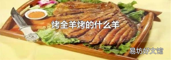 烤全羊烤的什么羊