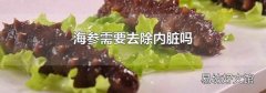 海參需要去除內臟嗎