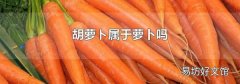 胡蘿ト屬于蘿卜嗎