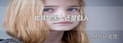 北非是黑人還是白人