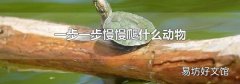 一步一步慢慢爬什么動物
