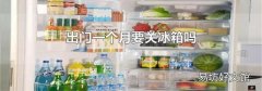 出门一个月要关冰箱吗