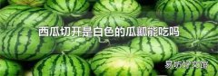 西瓜切開是白色的瓜瓤能吃嗎