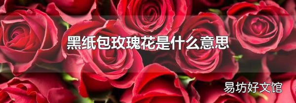 黑纸包玫瑰花是什么意思