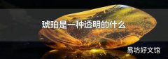 琥珀是一种透明的什么