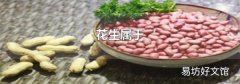 花生属于