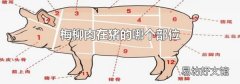 梅柳肉在猪的哪个部位