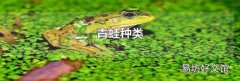 青蛙種類