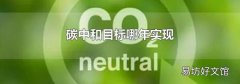 碳中和目标哪年实现