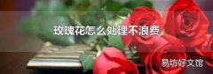 玫瑰花怎么處理不浪費
