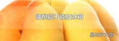 蟠桃能不能放冰箱