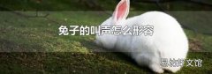 兔子的叫聲怎么形容