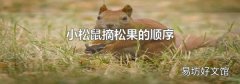 小松鼠摘松果的順序