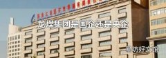 龙煤集团是国企还是央企
