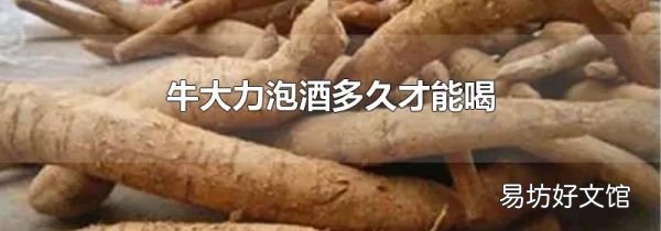 牛大力泡酒多久才能喝