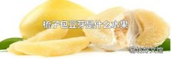 梳子包豆芽是什么水果