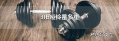 3lb啞鈴是多重