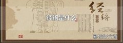 經絡是什么
