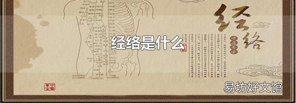 經絡是什么