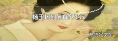 杨玉环到底有多少斤