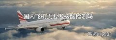 國內飛機需要做核酸檢測嗎