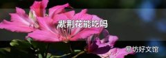 紫荊花能吃嗎