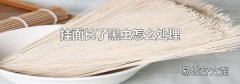 挂面长了黑虫怎么处理