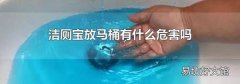 洁厕宝放马桶有什么危害吗