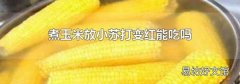 煮玉米放小蘇打變紅能吃嗎