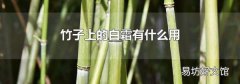 竹子上的白霜有什么用