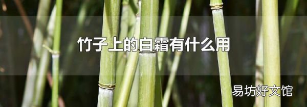 竹子上的白霜有什么用