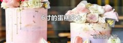 6寸的蛋糕多大