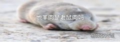 地羊肉是老鼠肉吗