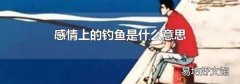 感情上的釣魚是什么意思