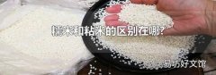 糯米和粘米的區(qū)別在哪?
