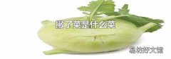 撇了菜是什么菜