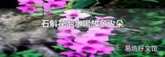 石斛花泡水喝放多少朵