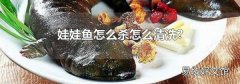娃娃魚怎么殺怎么清洗?