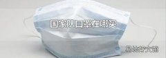 國家隊口罩在哪買