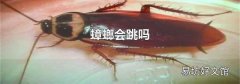 蟑螂會跳嗎