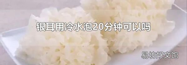 銀耳用冷水泡20分鐘可以嗎