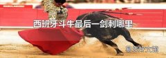 西班牙斗牛最后一劍刺哪里